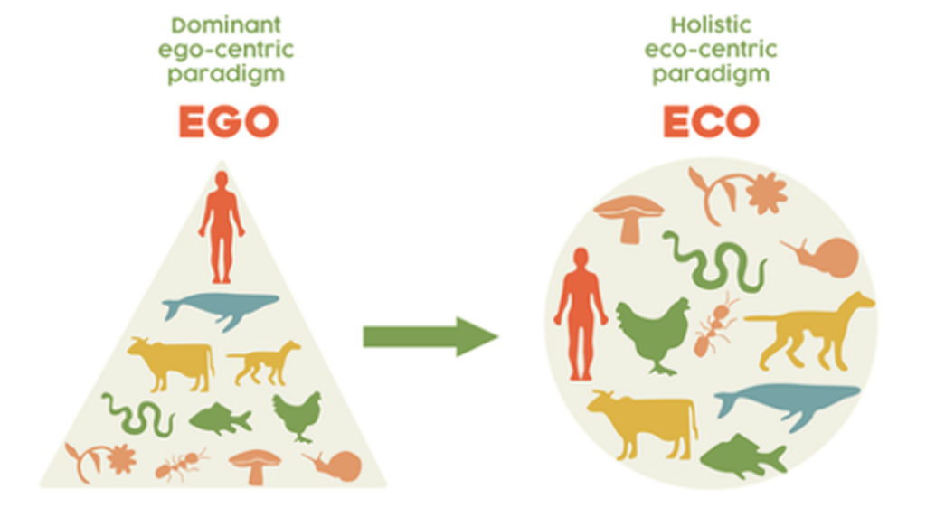 Robinson, J. M., Gellie, N., MacCarthy, D., Mills, J. G., O'Donnell, K., & Redvers, N. (2021). Traditional ecological knowledge in restoration ecology: a call to listen deeply, to engage with, and respect Indigenous voices. Restoration Ecology, 29(4), e13381.